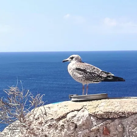 בית כפרי Maisonette Dans Hameau Calme *