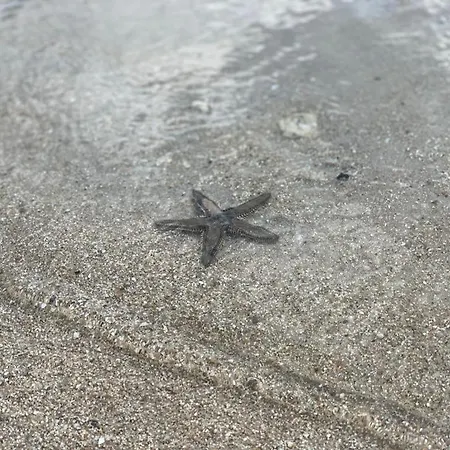 Maisonette Dans Hameau Calme