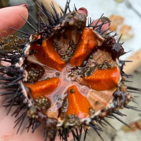 Maisonette Dans Hameau Calme