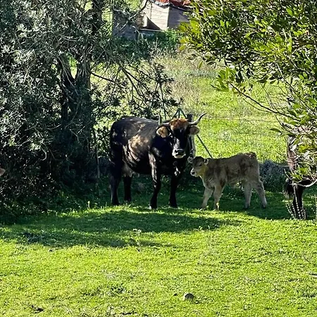 Gospodarstwo wiejskie Maisonette Dans Hameau Calme