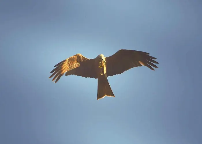 Landsted Maisonette Dans Hameau Calme Bonifacio (Corsica)