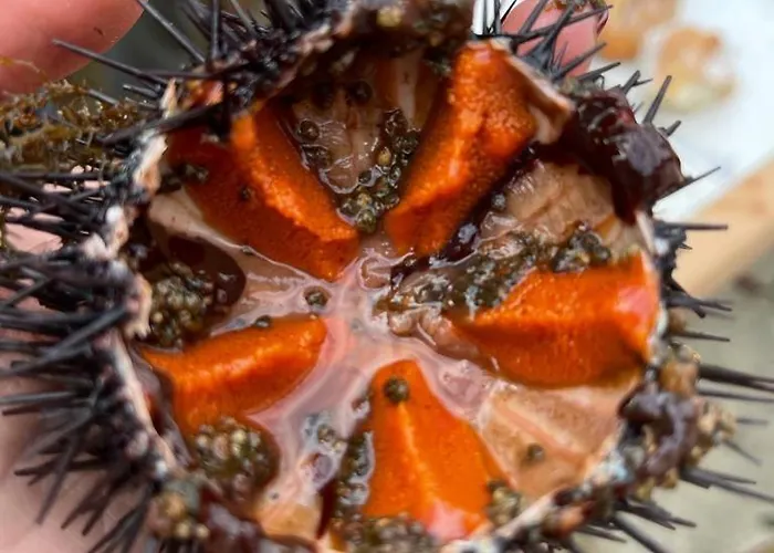 Maisonette Dans Hameau Calme