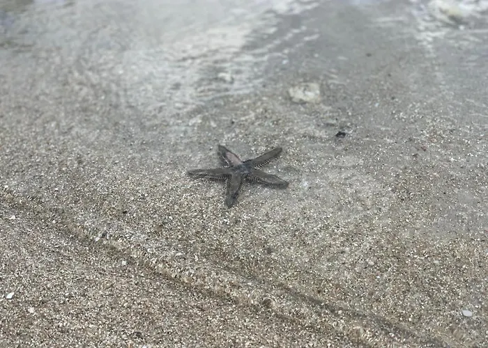 Maisonette Dans Hameau Calme