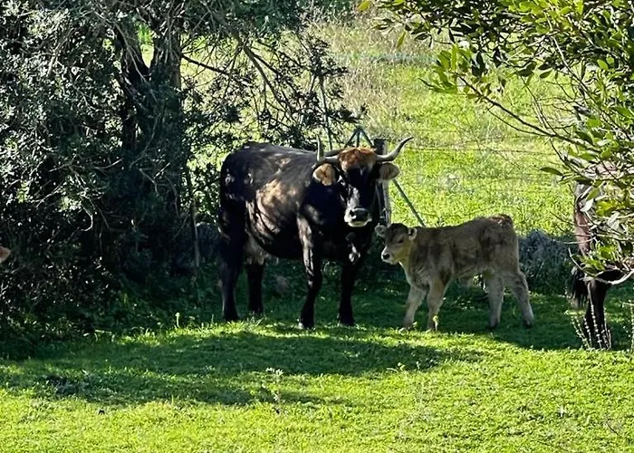Landsted Maisonette Dans Hameau Calme